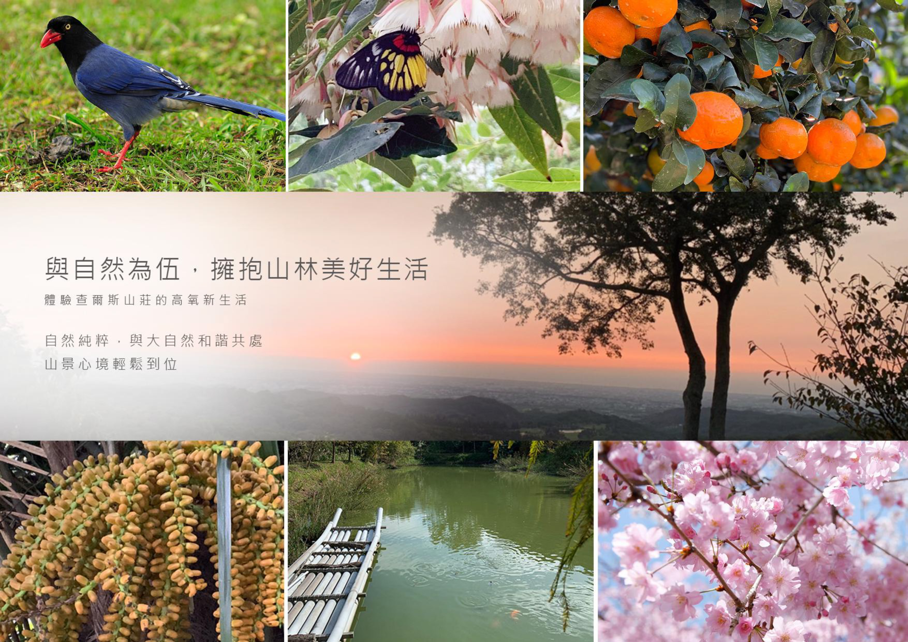 Gallery Page: cc_Page_06.jpg