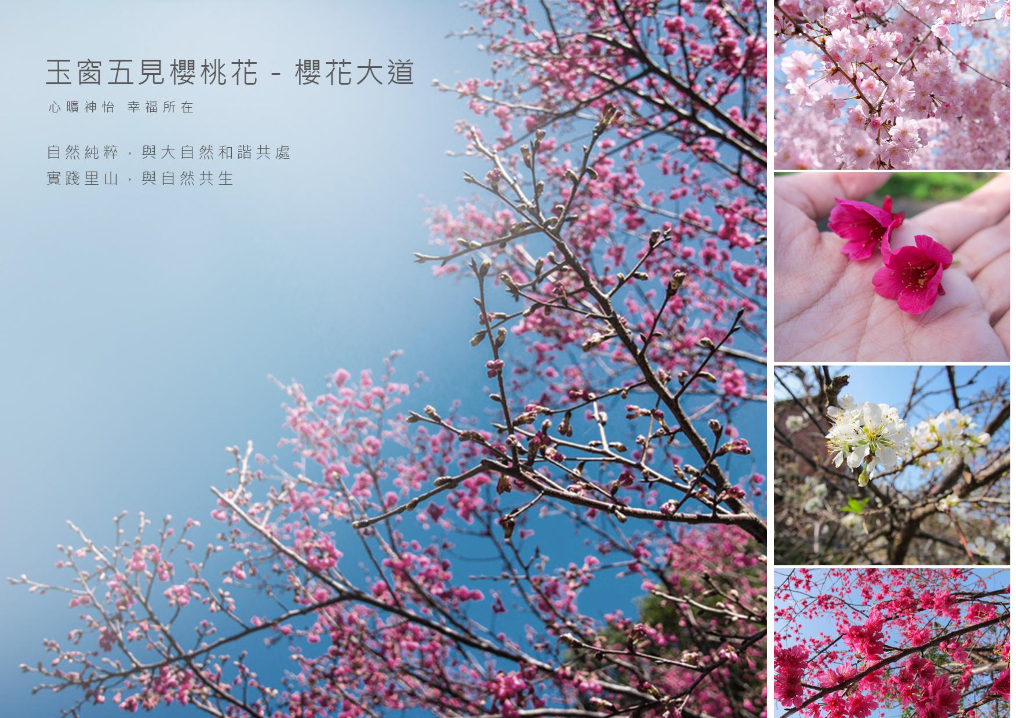 Gallery Page: cc_Page_13.jpg