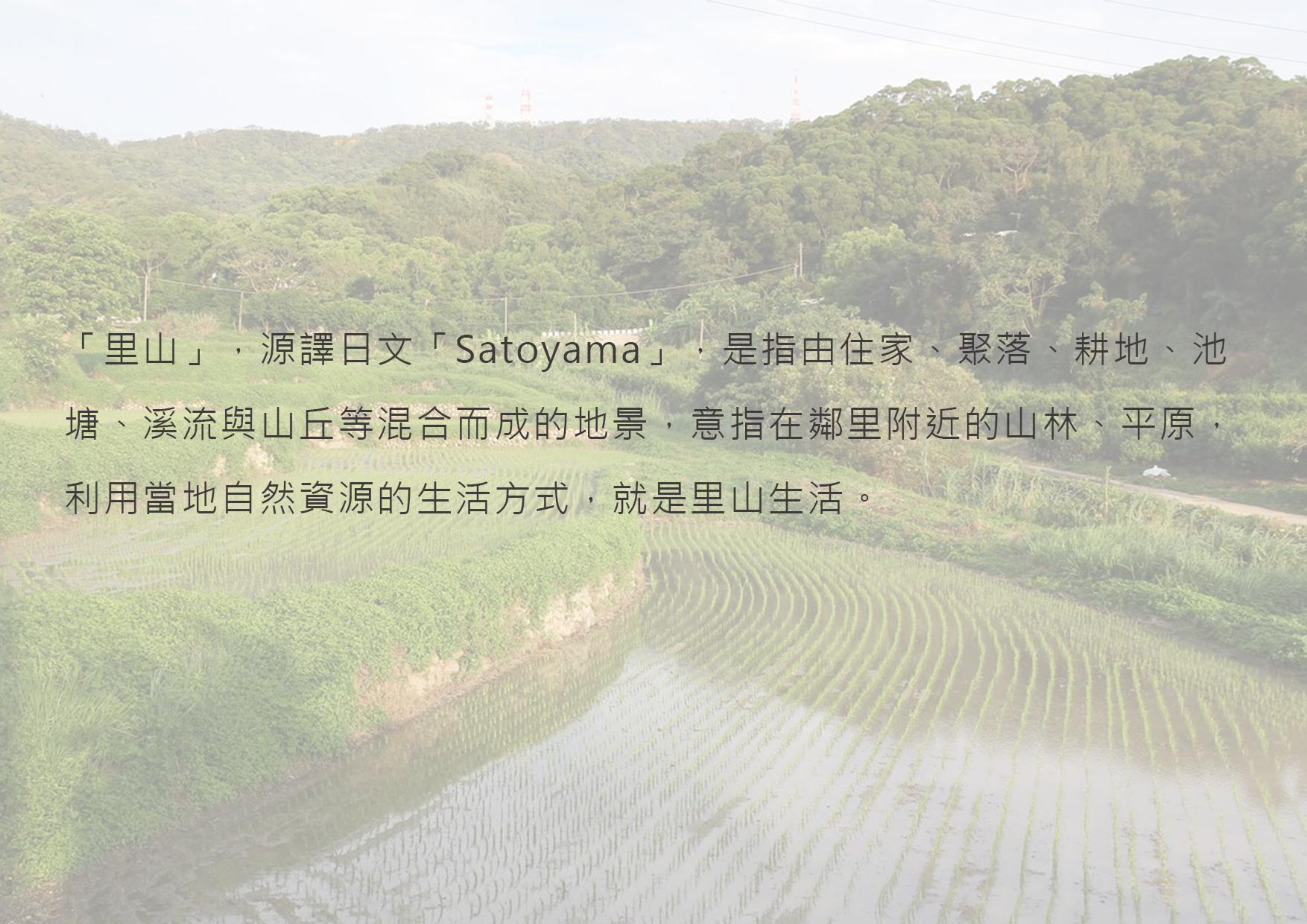 Gallery Page: cc_Page_15.jpg