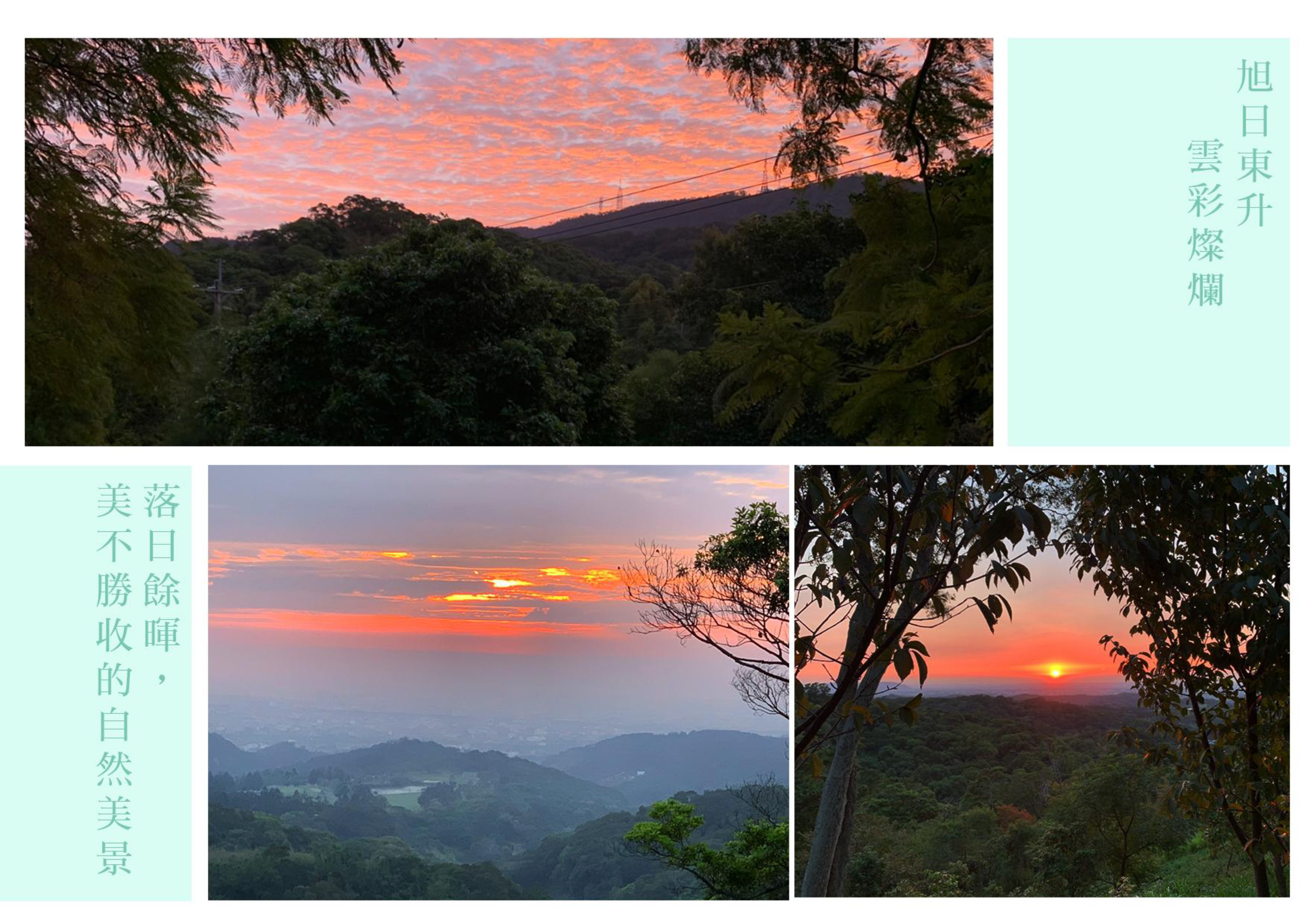 Gallery Page: cc_Page_20.jpg