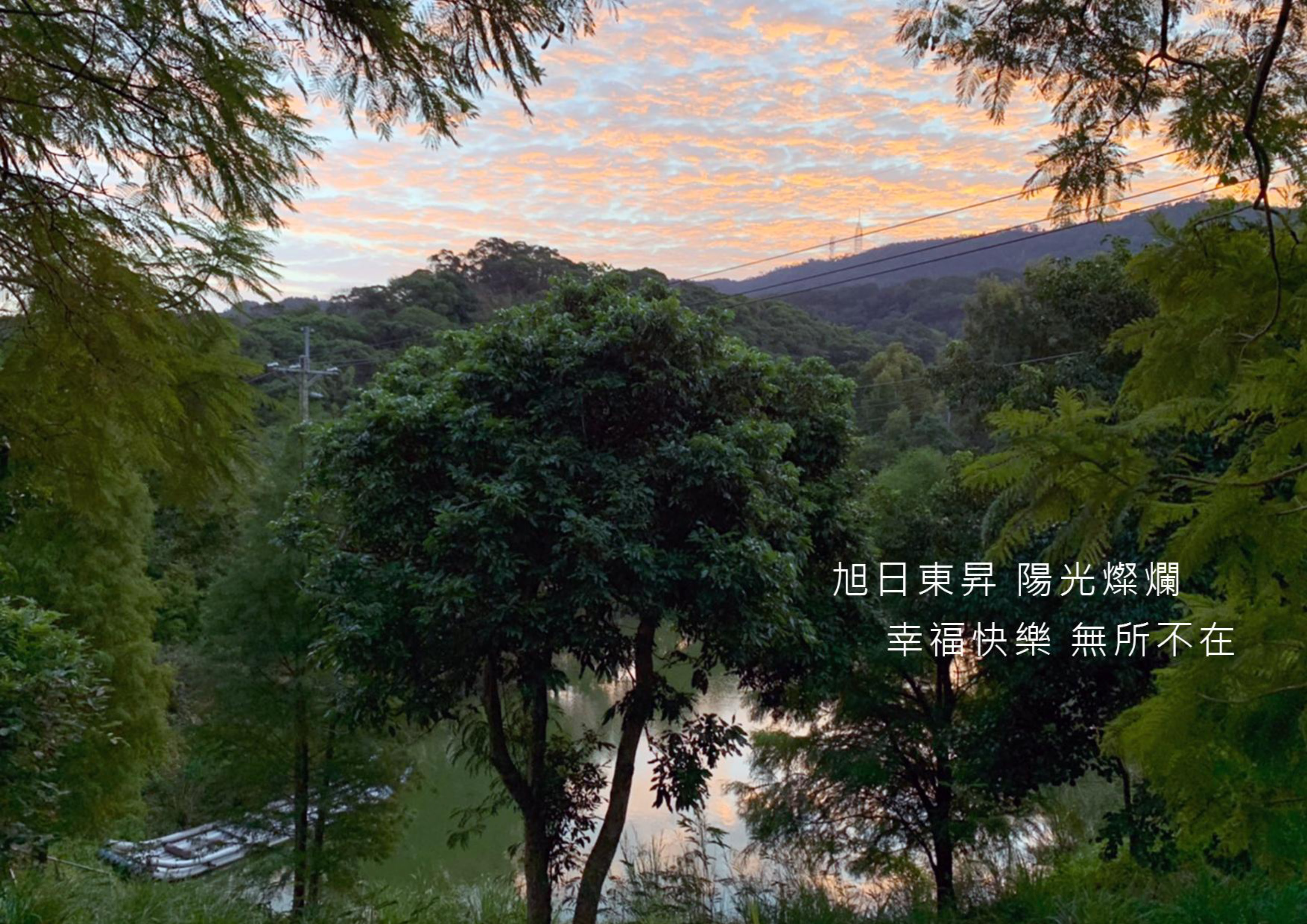 Gallery Page: cc_Page_21.jpg