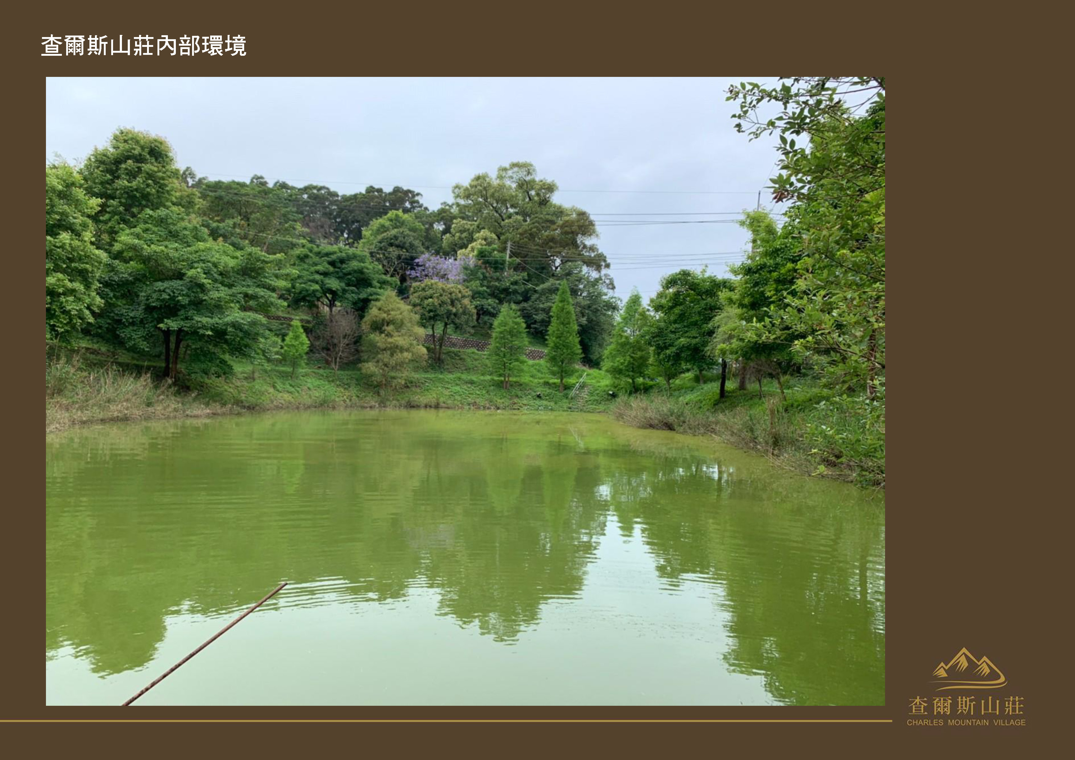 Gallery Page: cc_Page_23.jpg