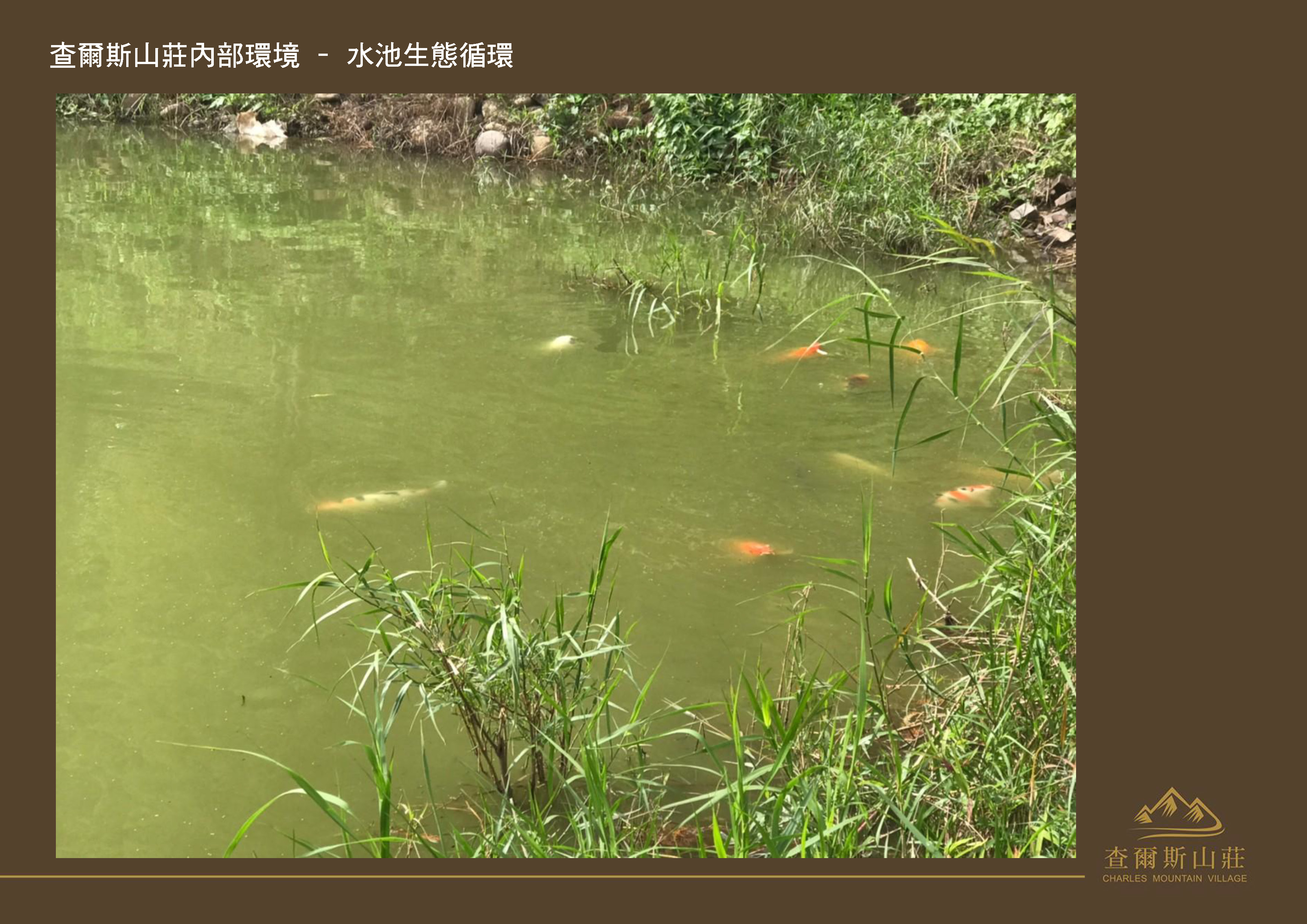 Gallery Page: cc_Page_24.jpg