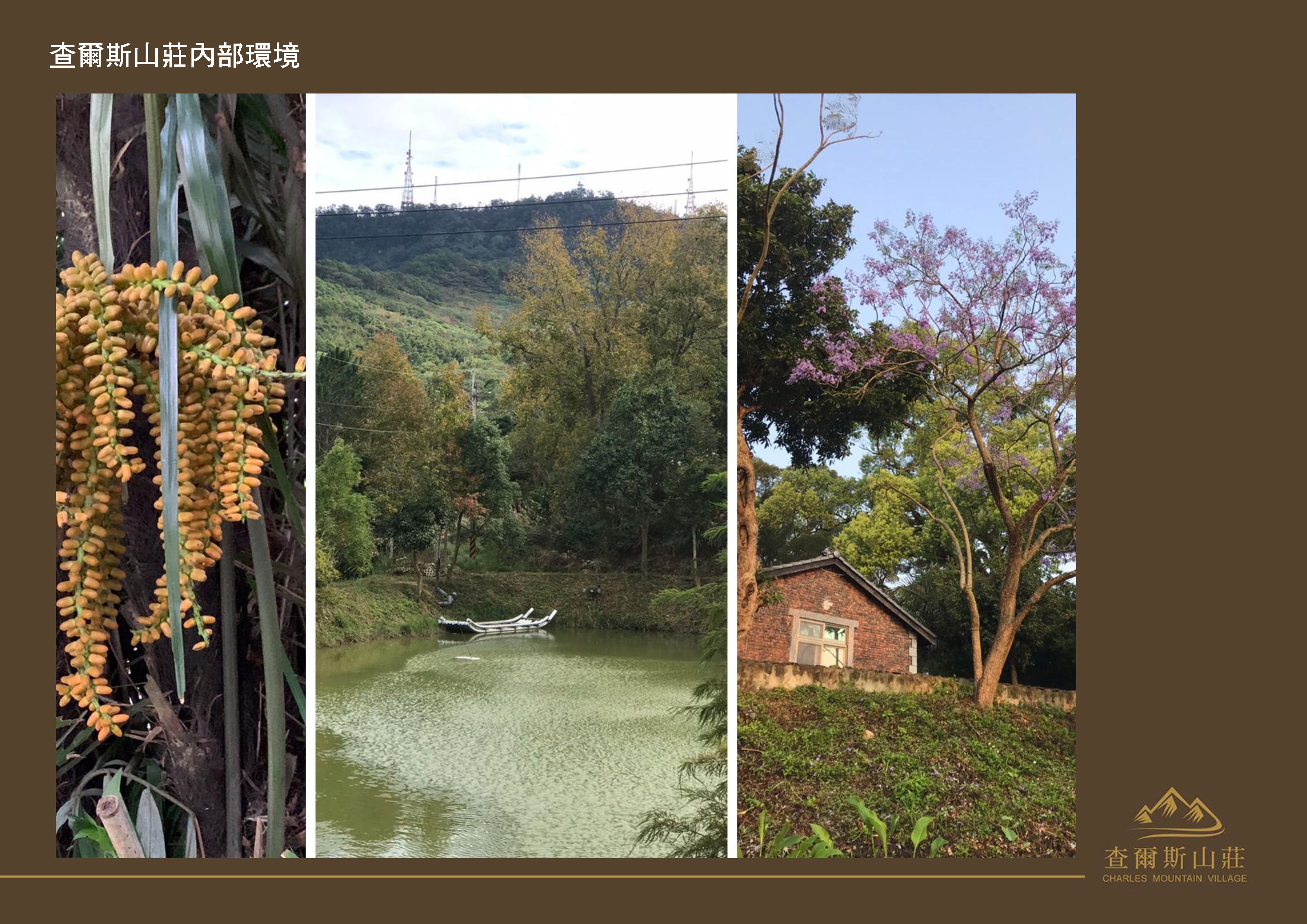 Gallery Page: cc_Page_25.jpg