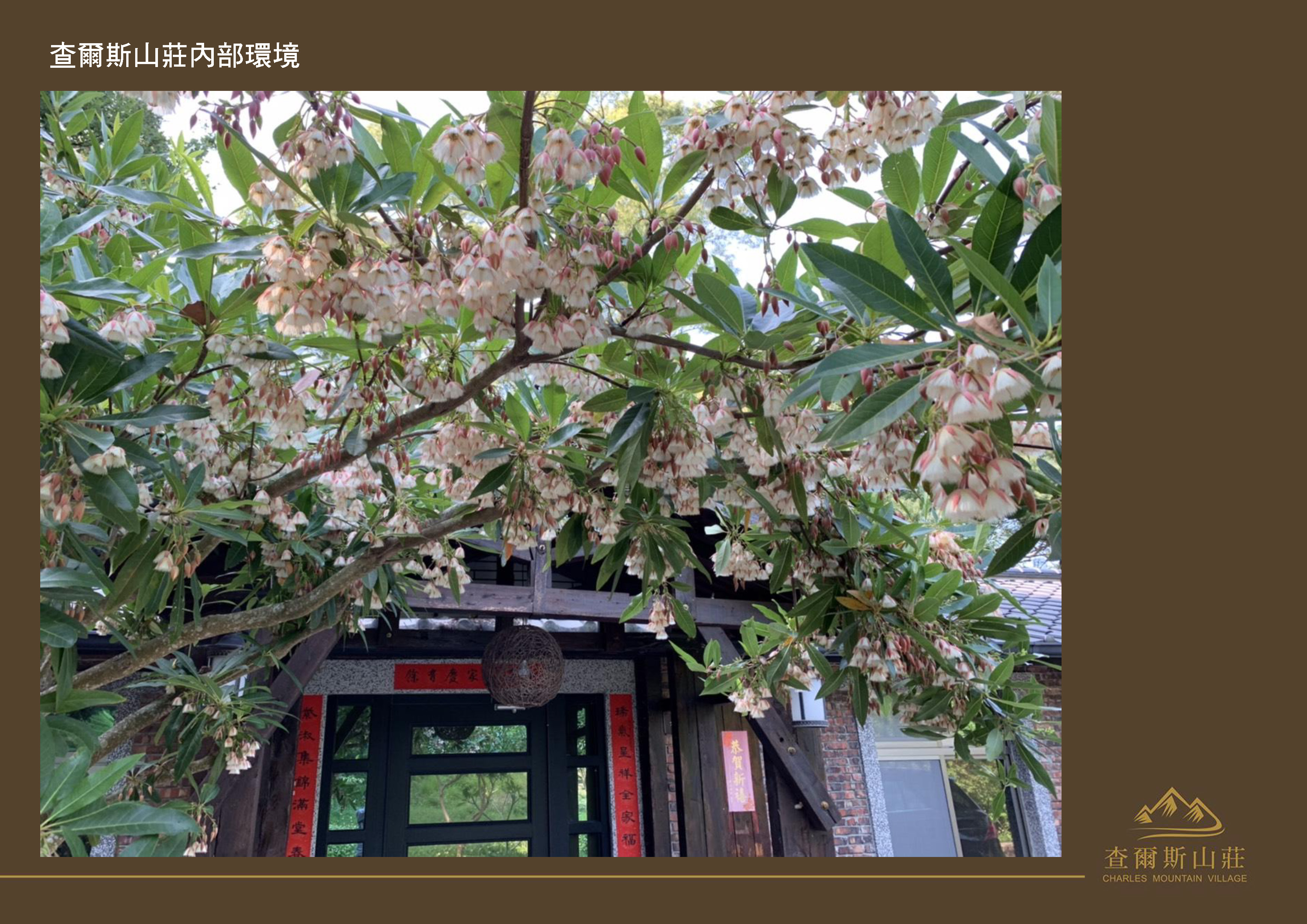 Gallery Page: cc_Page_27.jpg