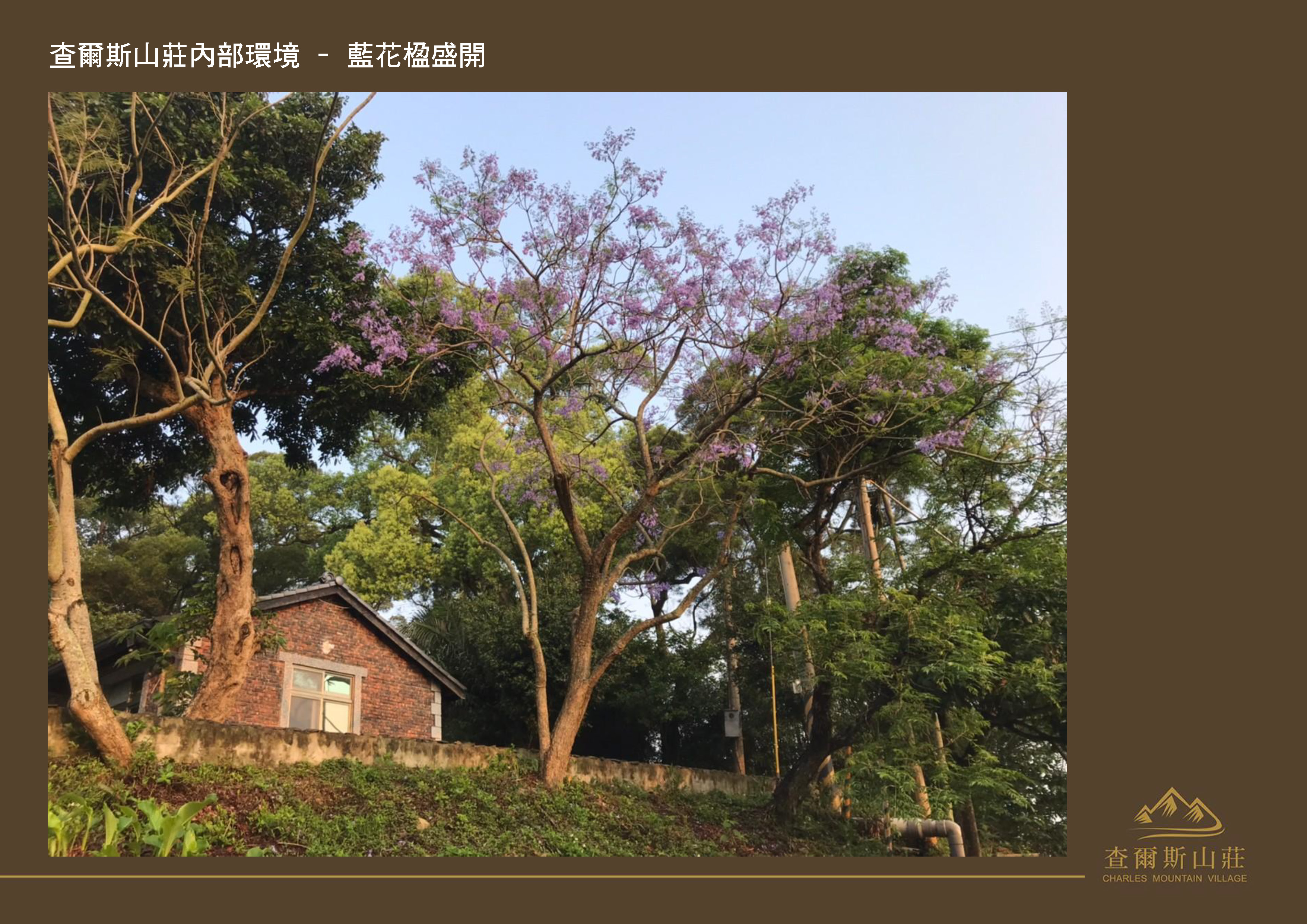 Gallery Page: cc_Page_32.jpg