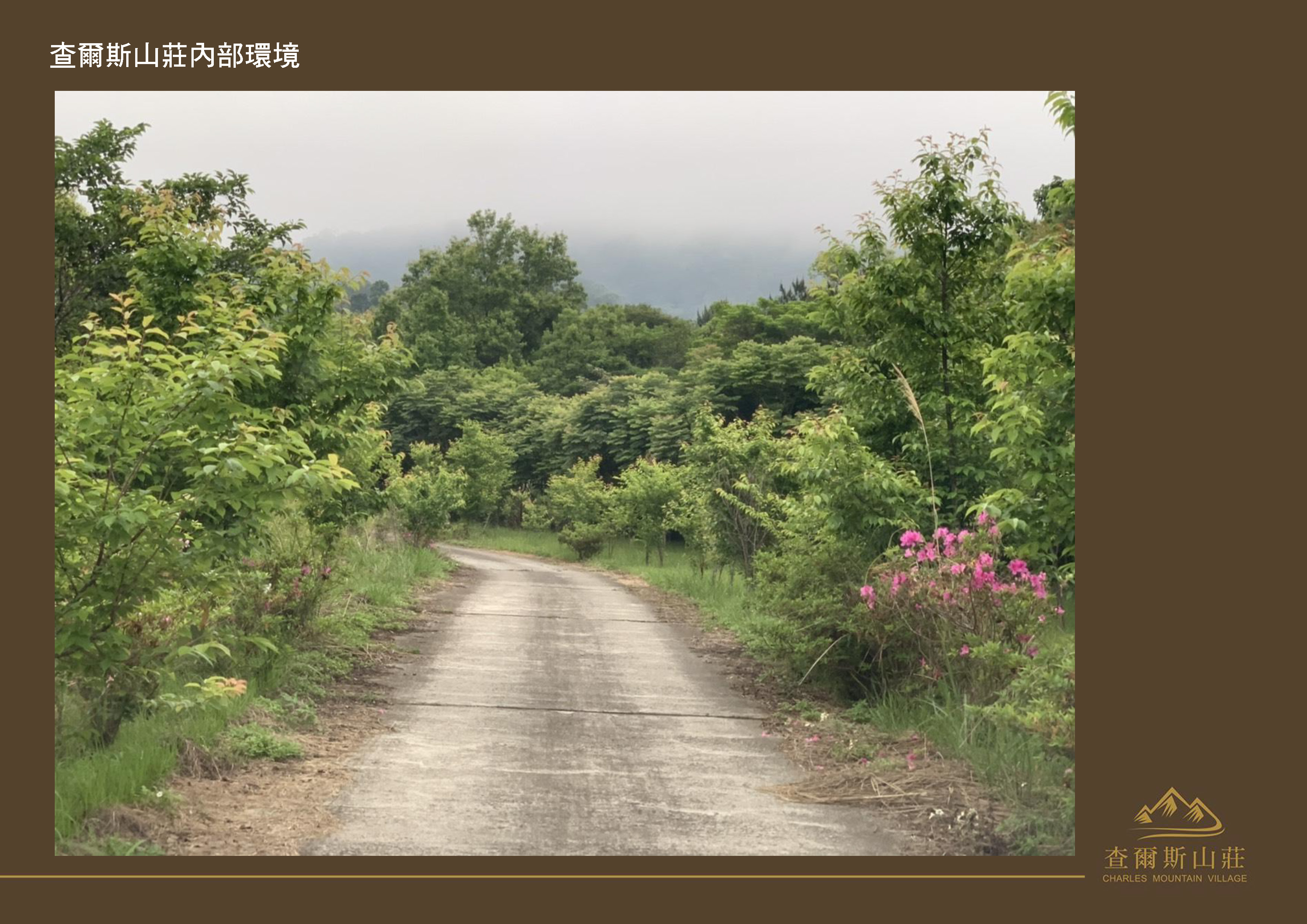 Gallery Page: cc_Page_36.jpg